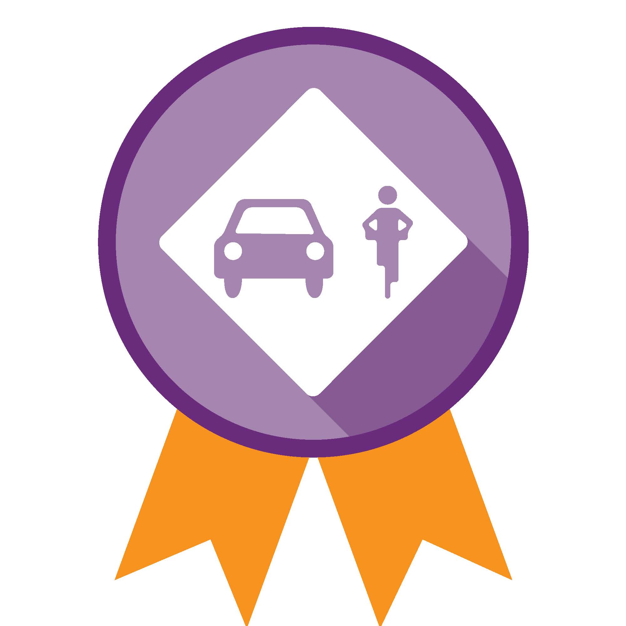 behaviour shared road badge